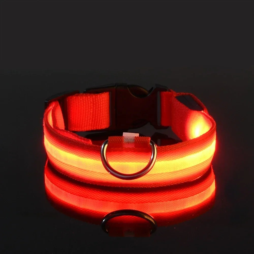LED Night Safety Glowing Dog Collar