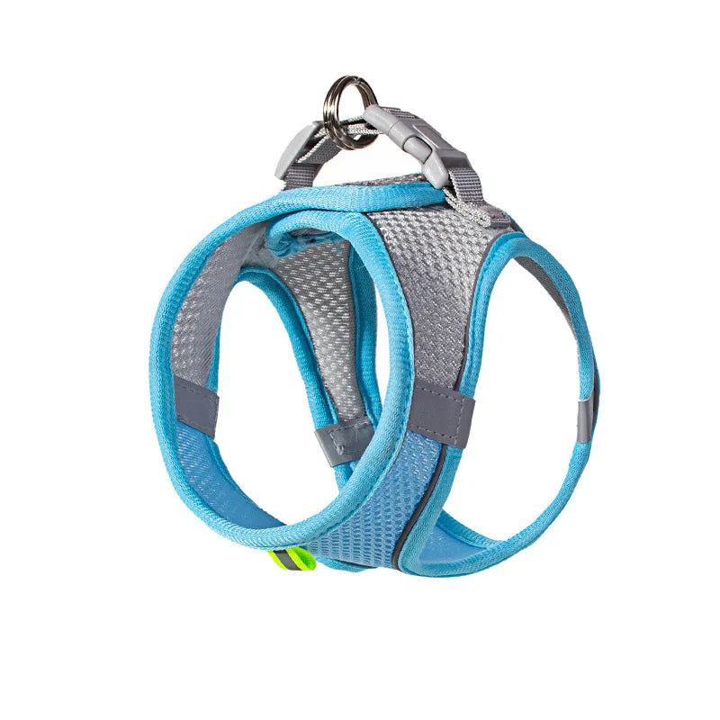 No-Choke Breathable Mesh Harness & Leash Set