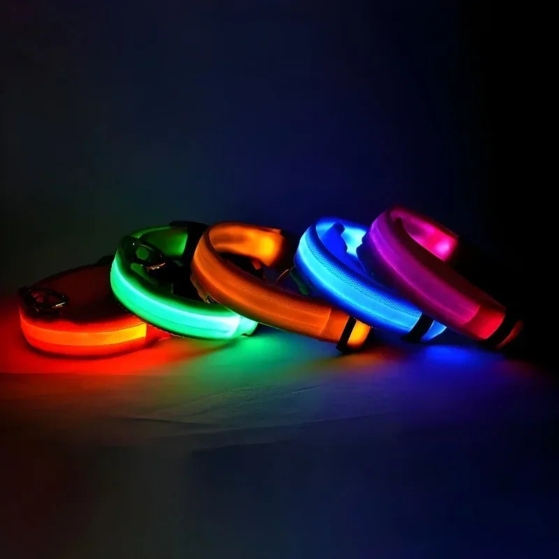 LED Night Safety Glowing Dog Collar