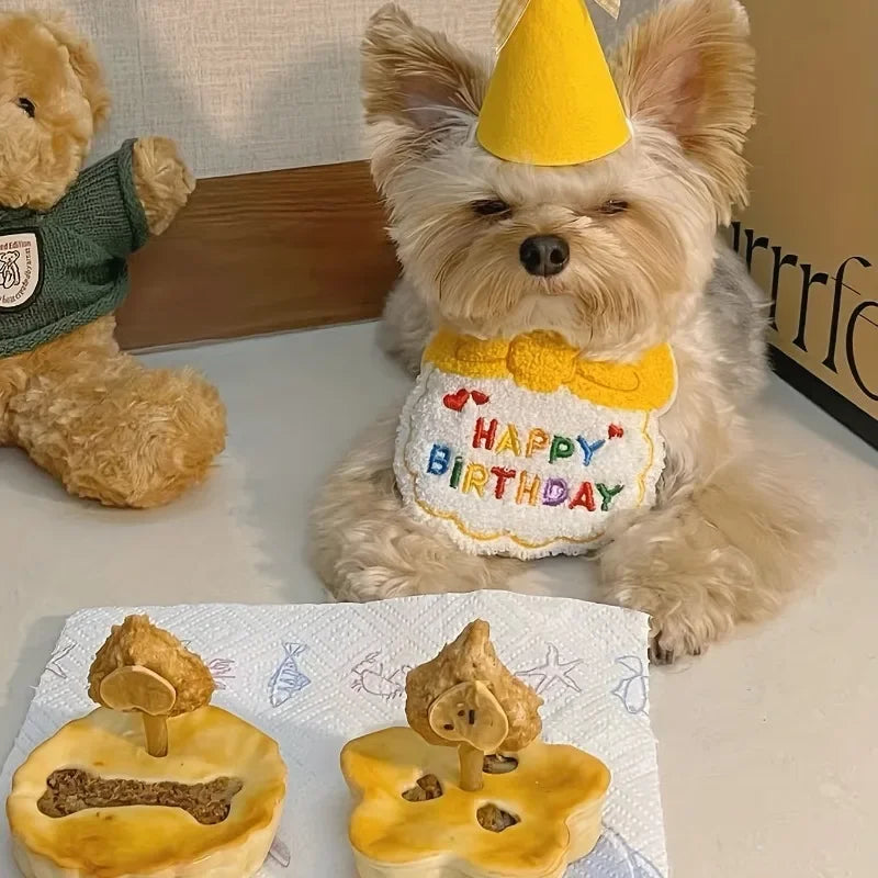 Adorable Magic Birthday Pet Hat & Matching Bib Set