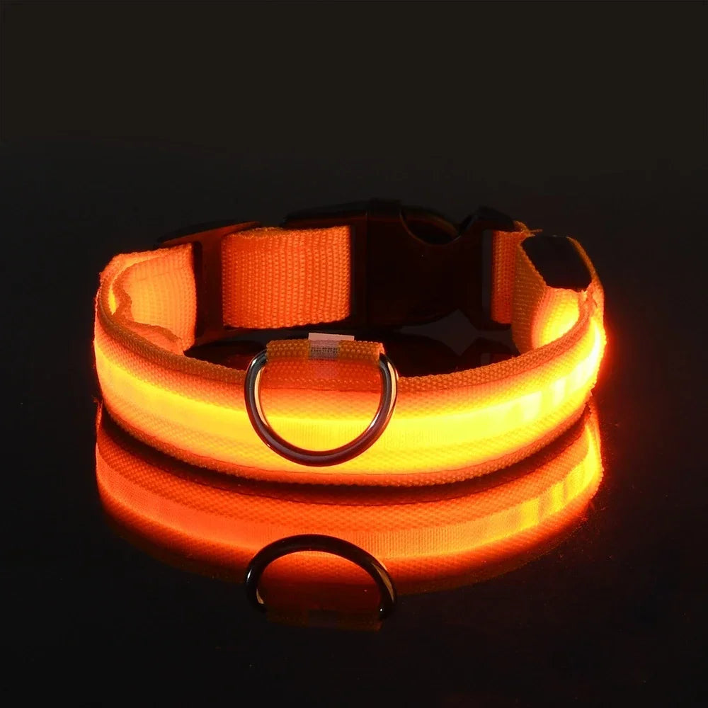 LED Night Safety Glowing Dog Collar