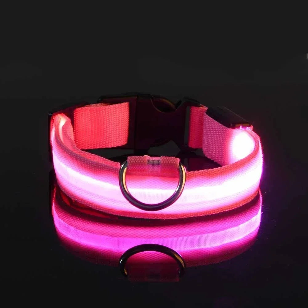LED Night Safety Glowing Dog Collar