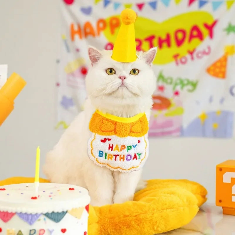 Adorable Magic Birthday Pet Hat & Matching Bib Set