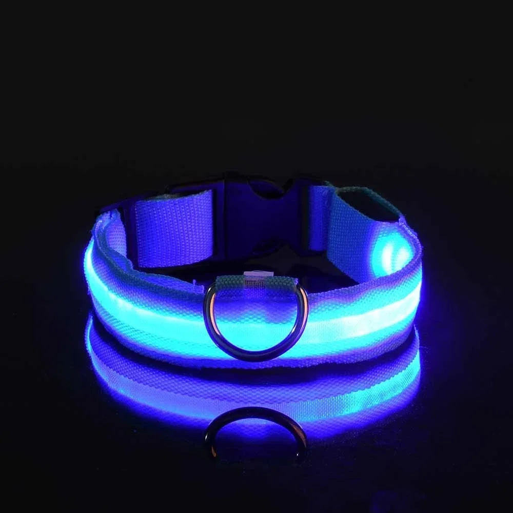 LED Night Safety Glowing Dog Collar