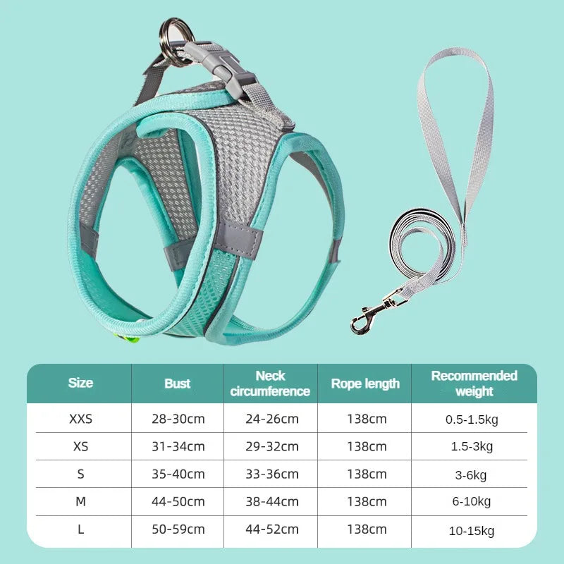 No-Choke Breathable Mesh Harness & Leash Set