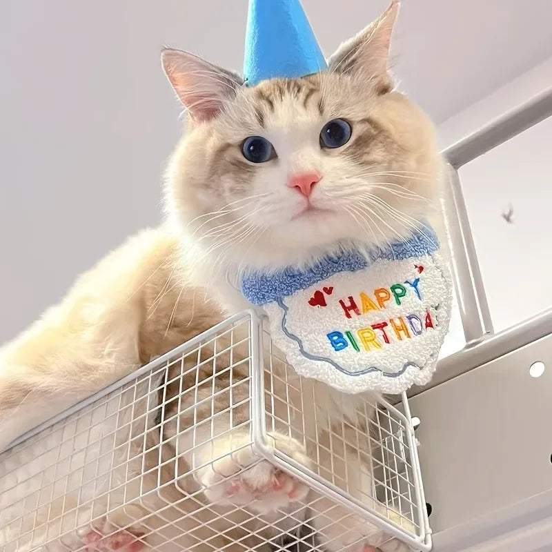 Adorable Magic Birthday Pet Hat & Matching Bib Set