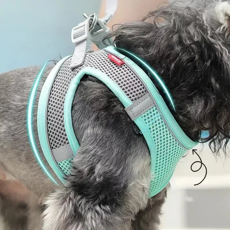 No-Choke Breathable Mesh Harness & Leash Set