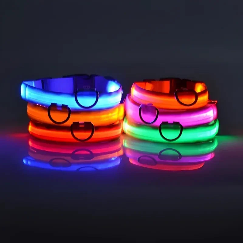 LED Night Safety Glowing Dog Collar