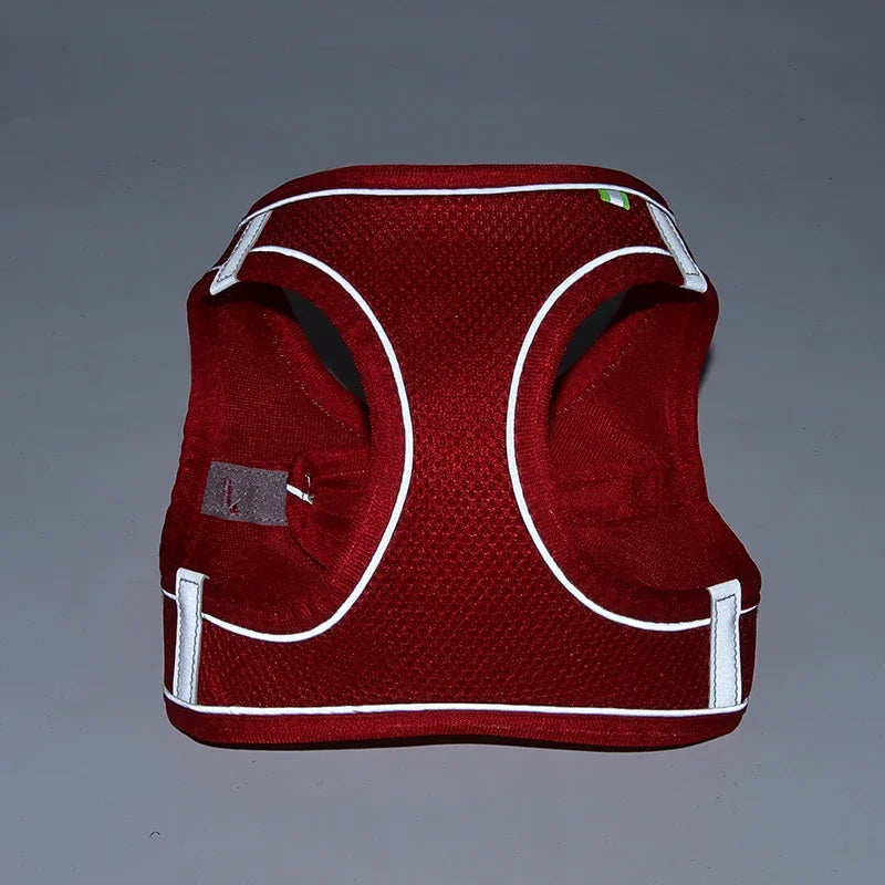 No-Choke Breathable Mesh Harness & Leash Set
