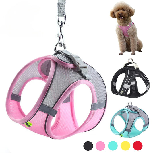 No-Choke Breathable Mesh Harness & Leash Set