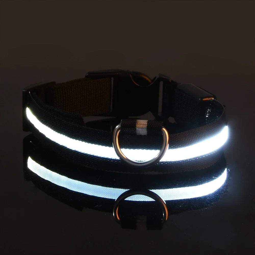 LED Night Safety Glowing Dog Collar