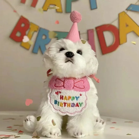 Adorable Magic Birthday Pet Hat & Matching Bib Set