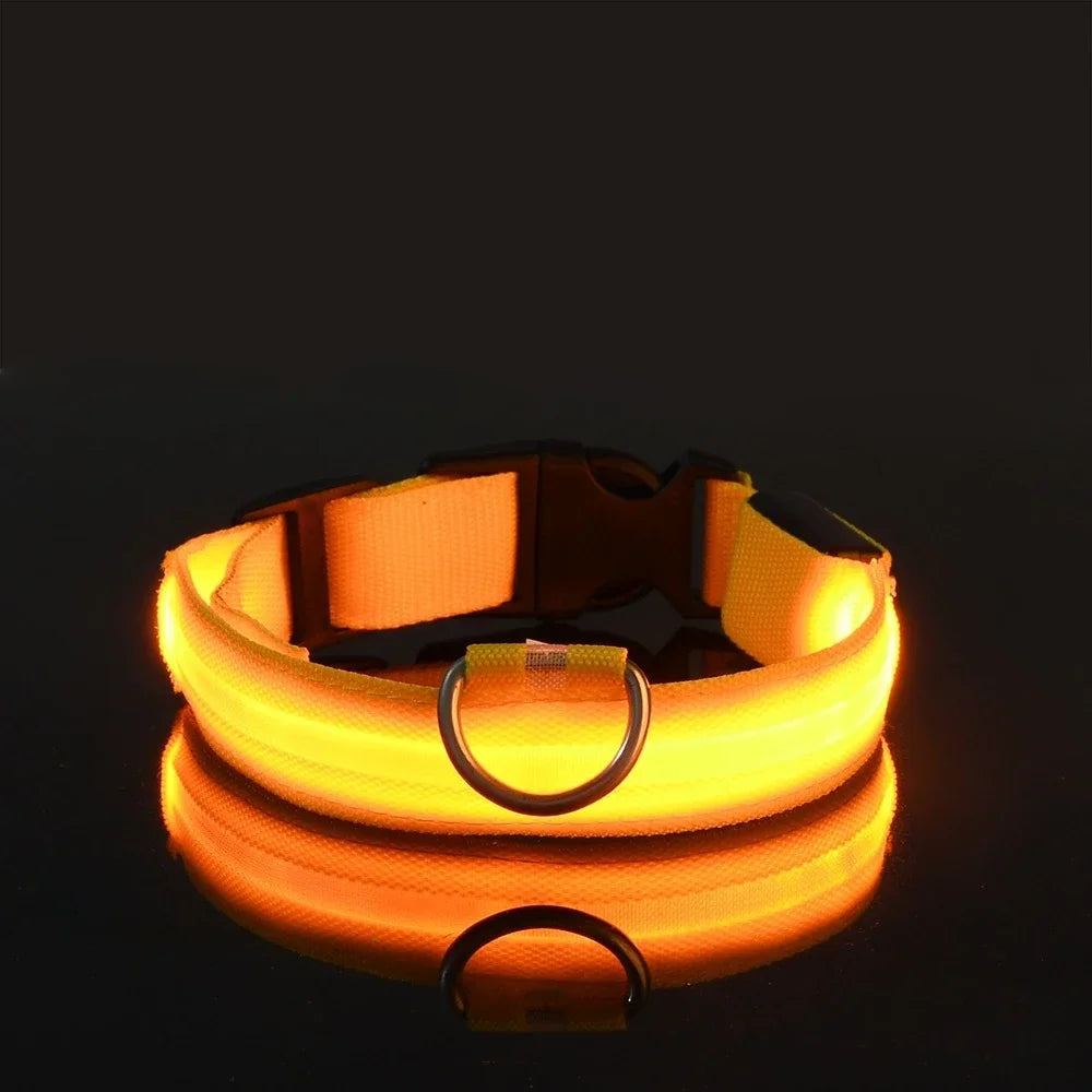 LED Night Safety Glowing Dog Collar