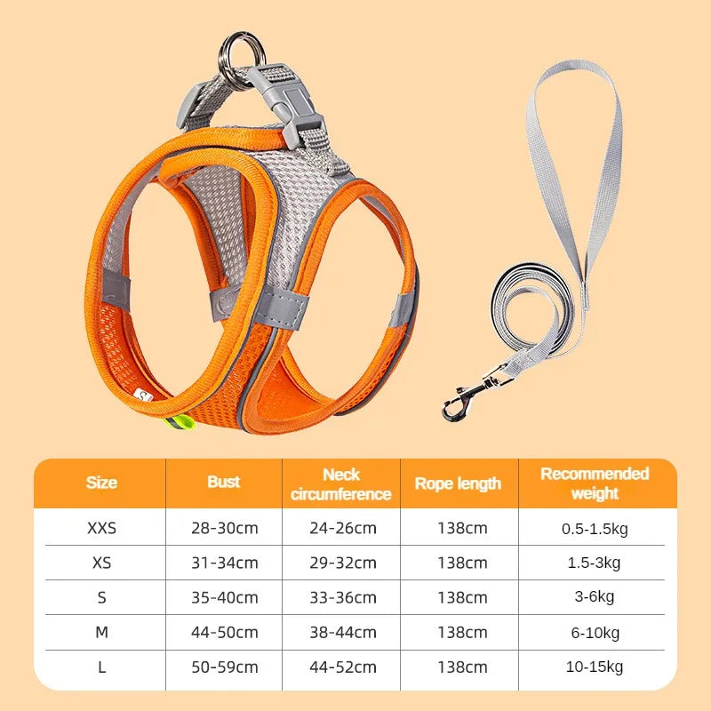No-Choke Breathable Mesh Harness & Leash Set