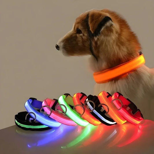 LED Night Safety Glowing Dog Collar