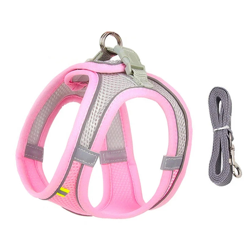No-Choke Breathable Mesh Harness & Leash Set