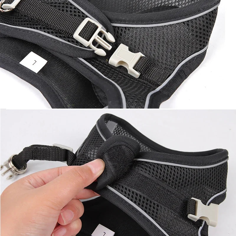 No-Choke Breathable Mesh Harness & Leash Set