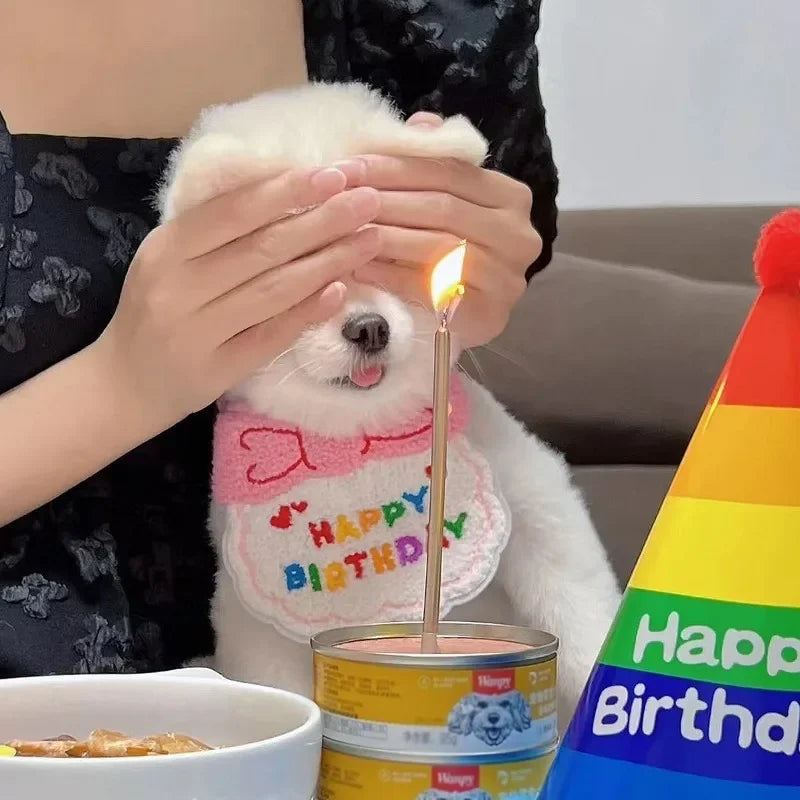 Adorable Magic Birthday Pet Hat & Matching Bib Set