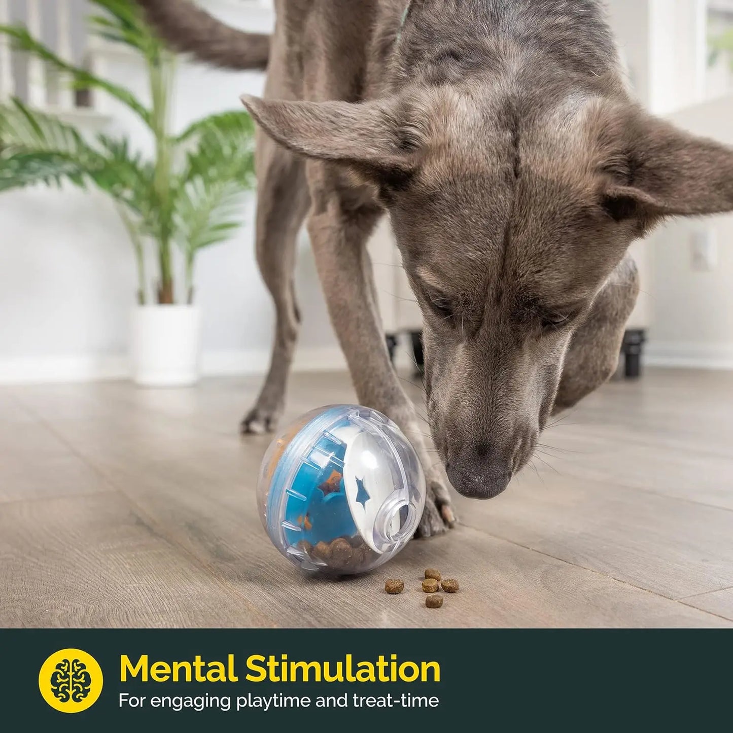 Interactive IQ Treat Ball - Slow Feeder & Boredom Relief Toy