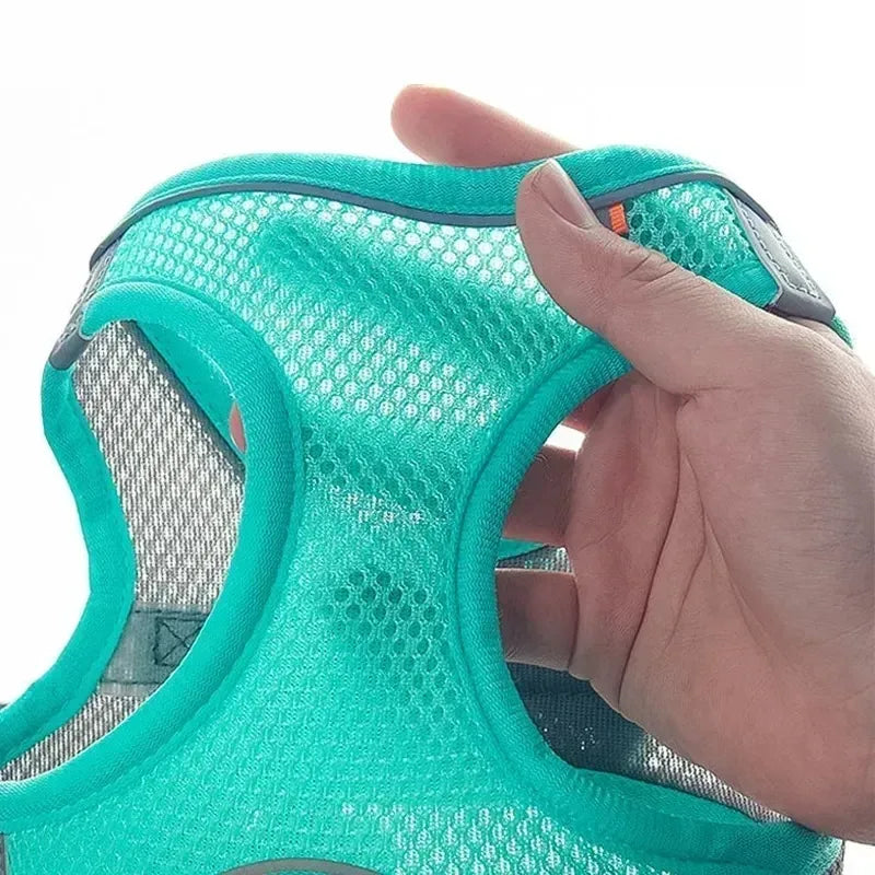 No-Choke Breathable Mesh Harness & Leash Set