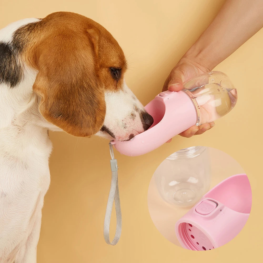 GoHydro Travel Pet Bottle