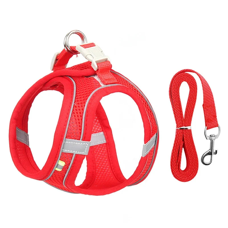 No-Choke Breathable Mesh Harness & Leash Set