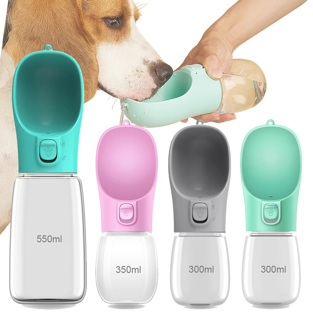GoHydro Travel Pet Bottle