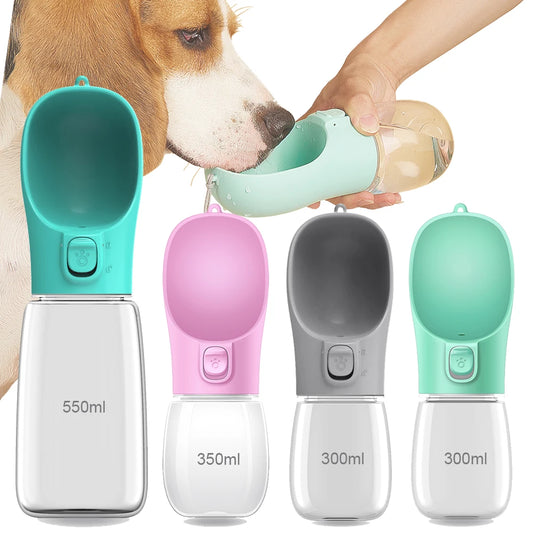 GoHydro Travel Pet Bottle