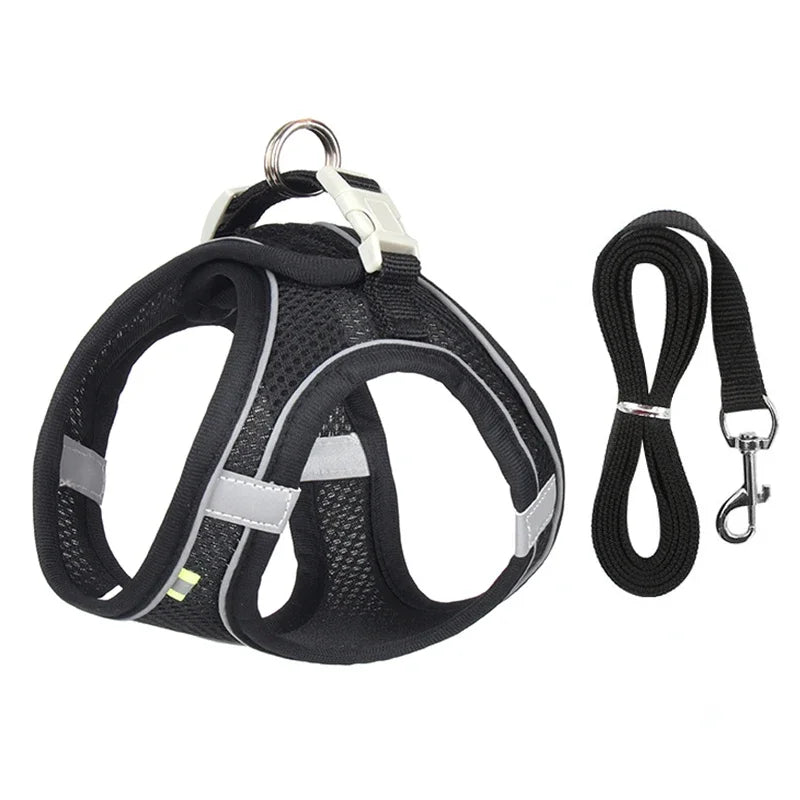 No-Choke Breathable Mesh Harness & Leash Set