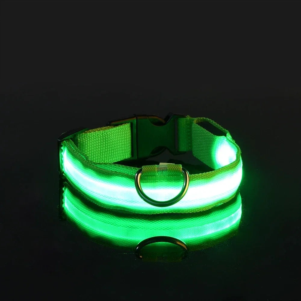 LED Night Safety Glowing Dog Collar